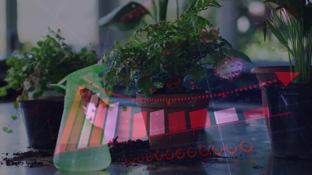 On playback herb plant staying by window, red HUD bars sweeping right showing plant care data