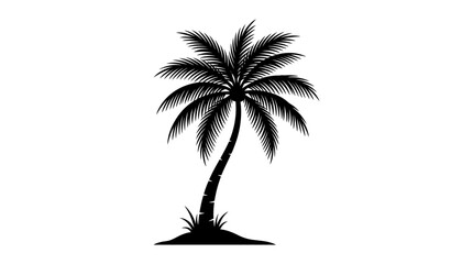 Obraz premium Silhouette of a mature palm tree with fronds curving gracefully against a blank background, rooted in a small mound of earth and grass