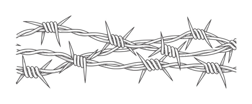 Of tangled barbed wire with sharp points
