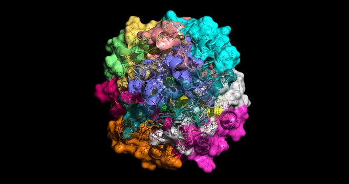 Detemir, diabetes drug/long-acting insulin analog for glycemic control, 3D molecule spinning, 4K