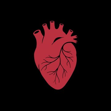 Human Heart Transparent Background
Apple ProRes 4444
