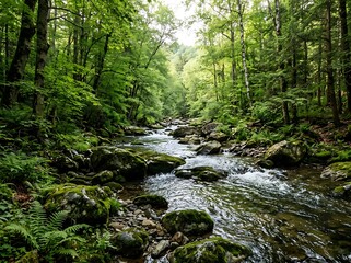 Fototapeta premium A serene mountain stream flowing through a lush, vibrant green forest