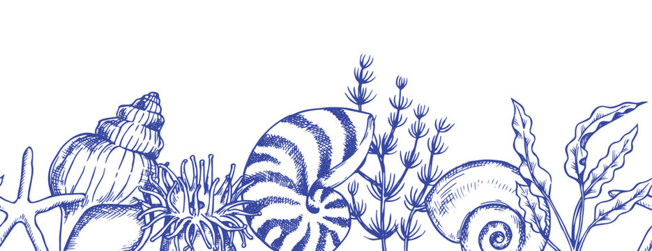 Sea world. Seamless border of shells and seaweed. Vector illustration in sketch style.