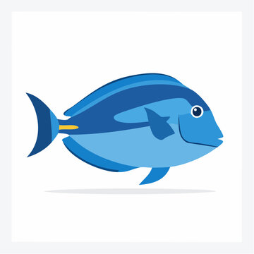 Blue Tang Fish Illustration