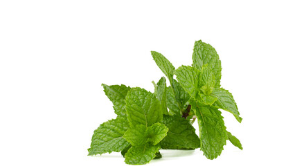fresh mint leaves PNG, on Transparent background © Ammar