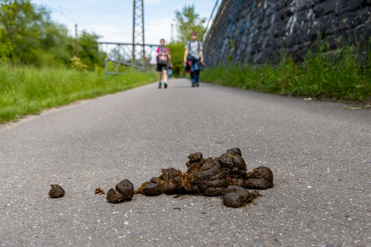 Pferdekacke auf &ouml;ffentlichen Wegen Fu&szlig;weg
