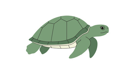 Illustration of a green sea turtle swimming on a white background. © Janda Anyar