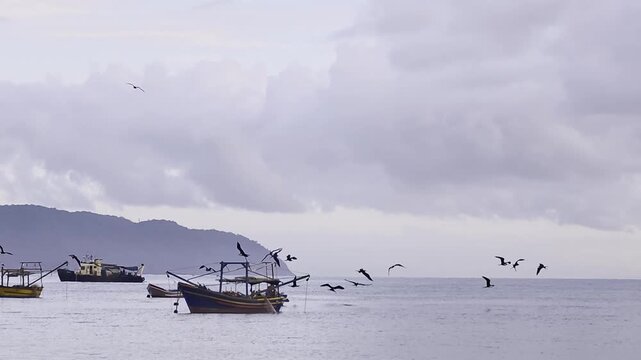 Traditional artisanal fishing boat anchored in S&atilde;o Francisco do Sul surrounded by a flock of frigatebirds flying under a cloudy sky