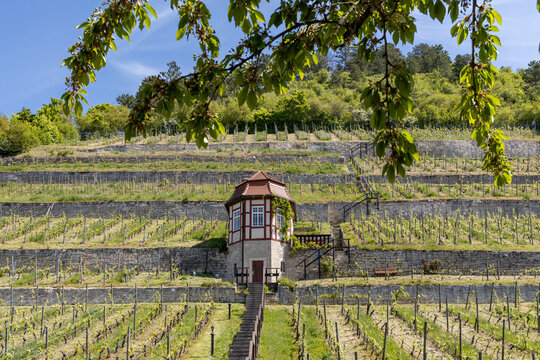 Tourismusregion Naumburg Saale Unstrut Tal