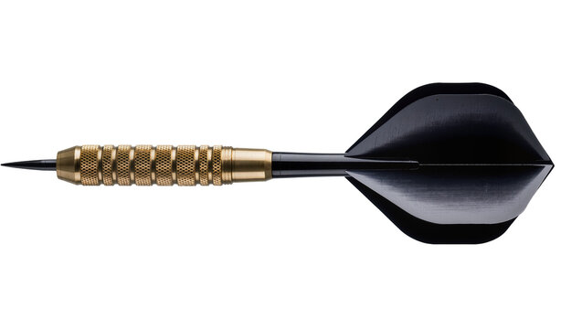 Gold knurled barrel dart with black flights