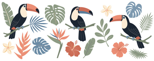 Fototapeta premium Tropical toucans and exotic flowers illustration on a white background