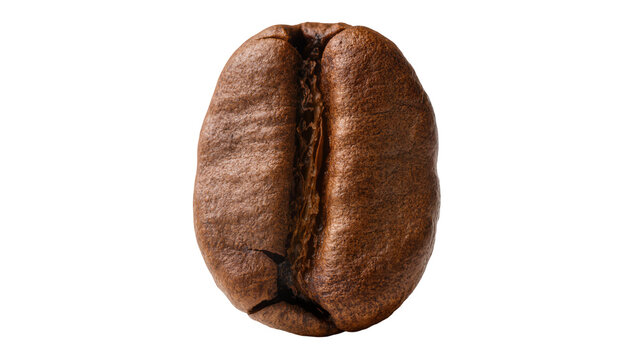 Single roasted coffee bean with deep crease