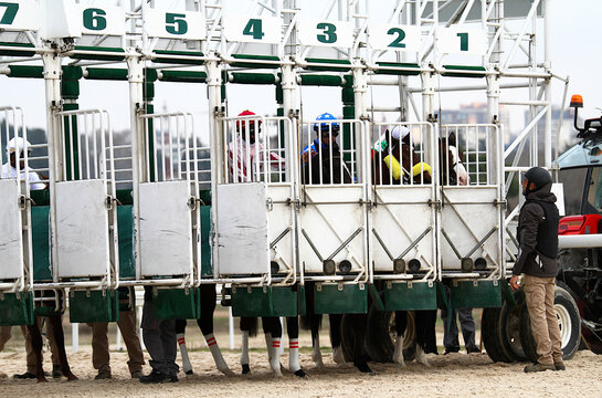 Cajones de salida gatera starting en carrera de caballos de hip&oacute;dromo partidor largador turf y juez auxiliar ayudante comisario