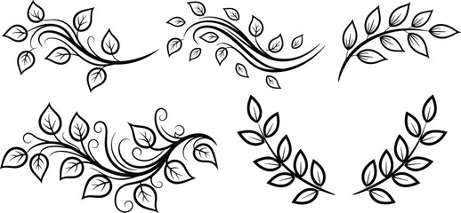 Fototapeta premium Decorative floral vine silhouette designs with elegant leaves and ornamental swirls for borders and graphic art projects
