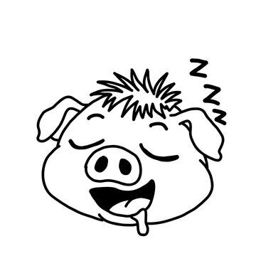 Illustration of a pig sleeping soundly and drooling. Sleep, deep sleep, dozing.