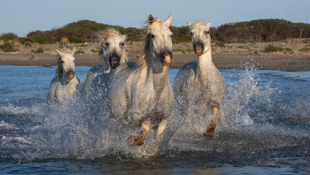 Correr en el mar 2