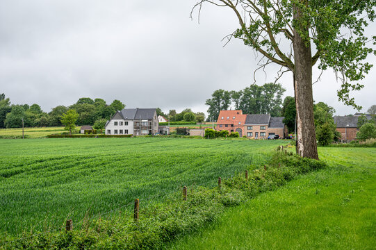 Rainy green hills in Flemish Ardennes