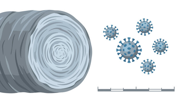 Cross section of fiber material with viral particles illustration. EPS Editable. Vector Illustrations.