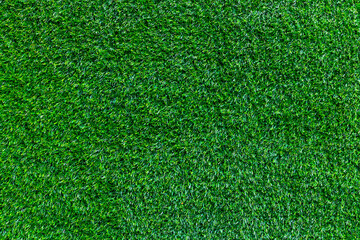 Fototapeta premium Green grass covering ground in even textured lawn closeup outdoor