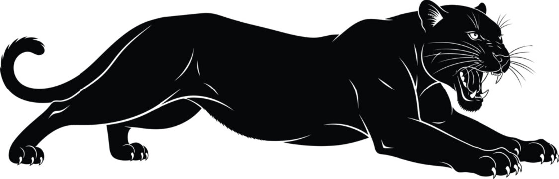 Black panther crouching with open mouth and sharp teeth ready to pounce