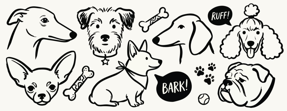 Scribble chalk or charcoal style dogs set. Hand drawn puppy sketches, creative outline funny whimsical grunge charcoal art for tshirt print, placard, poster or stickers. Isolated vector illustrations.