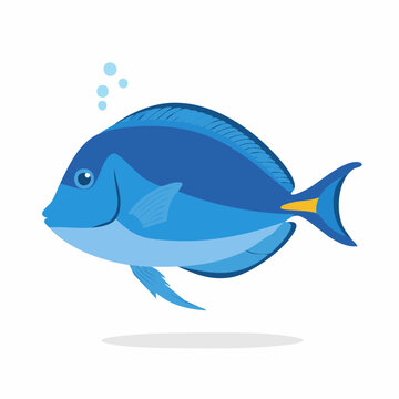 Blue Tang Fish Illustration