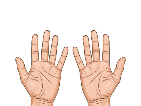 Two human open palms with twelve fingers polydactyly concept illustration
