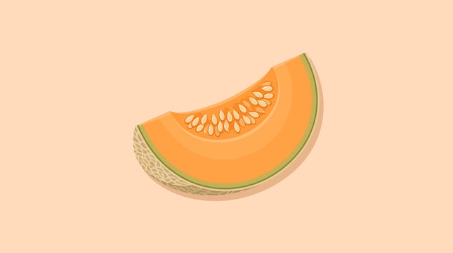 Fresh juicy cantaloupe melon slice isolated on light background.