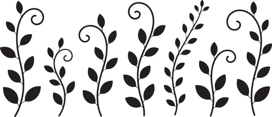 Fototapeta premium vine border vector with curling tendrils and alternating leaves