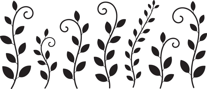vine border vector with curling tendrils and alternating leaves
