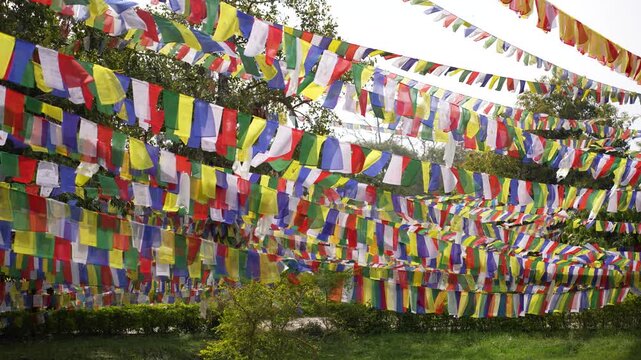Lumbini, Nepal - 15 January 2024: View of colorful Tibetan prayer flags fluttering among green trees in the sacred garden of Lumbini, the birthplace of Lord Buddha.