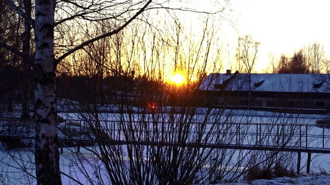Bright sun setting behind leafless trees during a cold winter evening in the countryside
