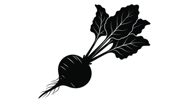 Beetroot silhouette illustration fresh vegetable graphic design element