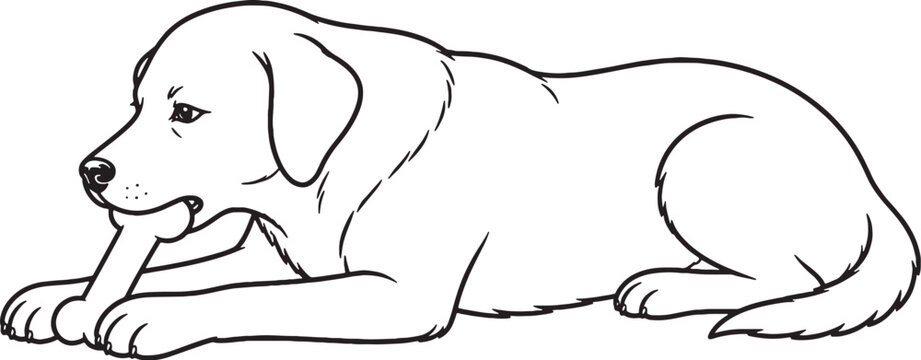 Dog chewing bone lying down line art vector canine pose isolated on white background