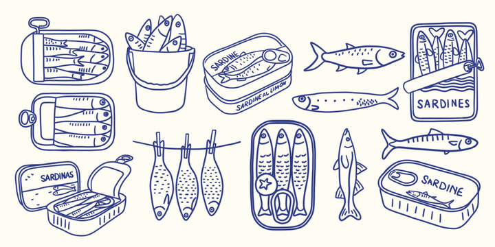 Vintage sardine doodle clipart set. Hand drawn whimsical sardine fish cans. Coastal market line art. marine vector illustration
