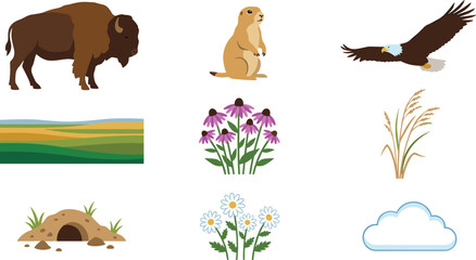 Fototapeta premium Prairie Wildlife and Nature Vector Set Featuring Bison, Eagle, Prairie Dog, Wildflowers, Grass, Landscape, and Outdoor Environment Icons
