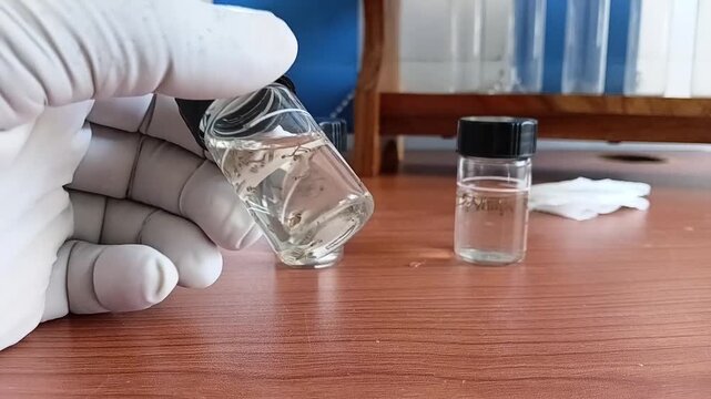 Hand Picking Up A Glass Sample Cell From The Table And Holding It Close To The Camera To Show Mosquito Larvae