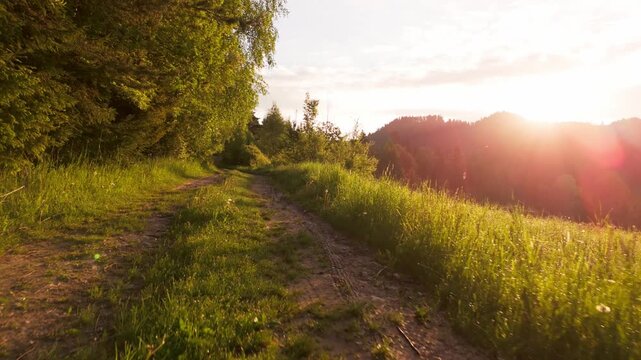 Drone view of rural dirt road through green meadow and forest at sunrise in Slovakia