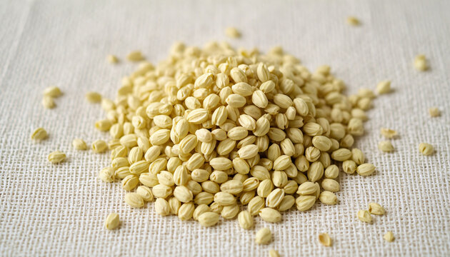 Pile of Green Organic Fennel Seeds on Textured Khadi Cloth