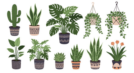 Fototapeta premium Variety of indoor houseplants in decorative pots includes cactus and monstera to showcase modern home gardening and interior decor.