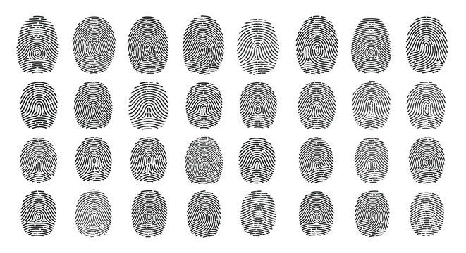 Large grid of unique black ink fingerprints on a white background illustrates forensic science and individual identity verification.