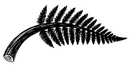 Black and white illustration of a single fern frond, isolated on white © Labib