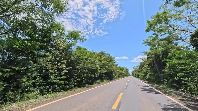A road in the interior of Minas Gerais, between Montes Claros and Porteirinha.