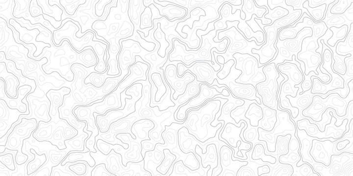 Gray abstract topographic map pattern with wavy lines and contours on white background