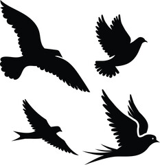 Fototapeta premium Set of bird silhouettes including dove pigeon swallow hawk seagull