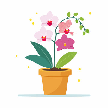 Orchidee im Topf als Vektor