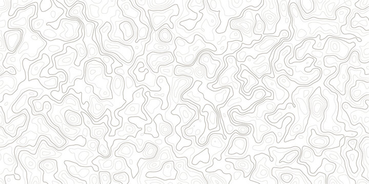 Gray topographic contour lines on white background pattern design element