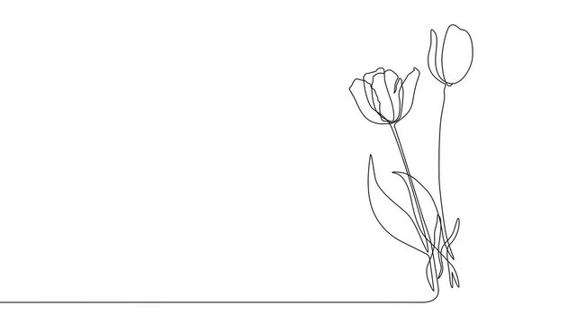 one line hand drawn flower