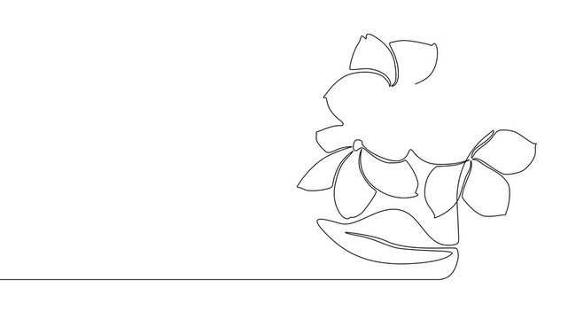 one line hand drawn flower