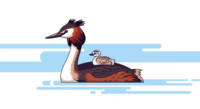 A mother bird and chick float peacefully on the water